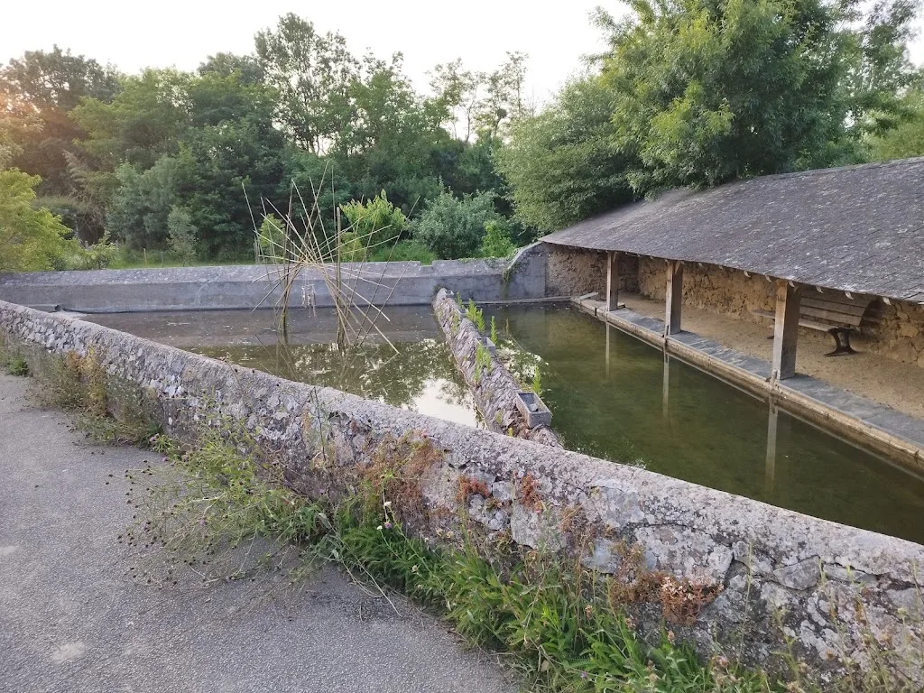 Camping & Camping-car Park du Layon ** - Saint-Aubin-de-Luigné - photo 3