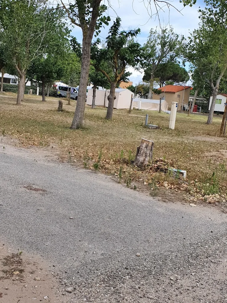 Camping Municipal Rive d'Aude - photo 1