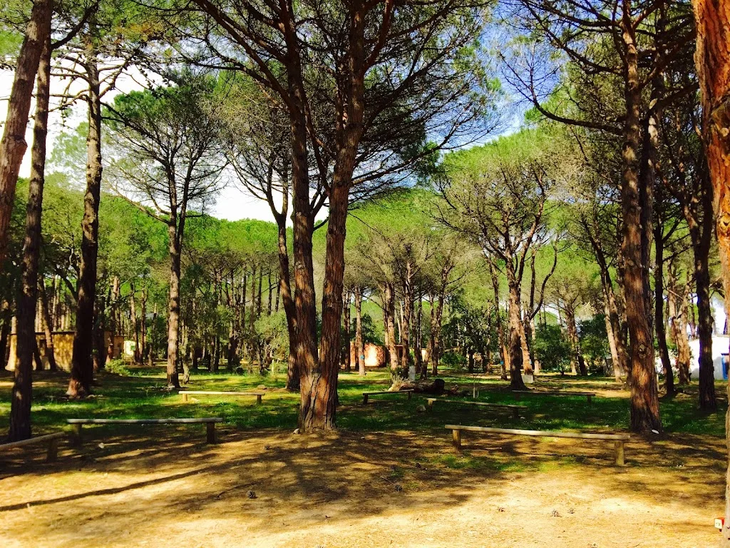 Camping Villata plage naturiste - photo 1