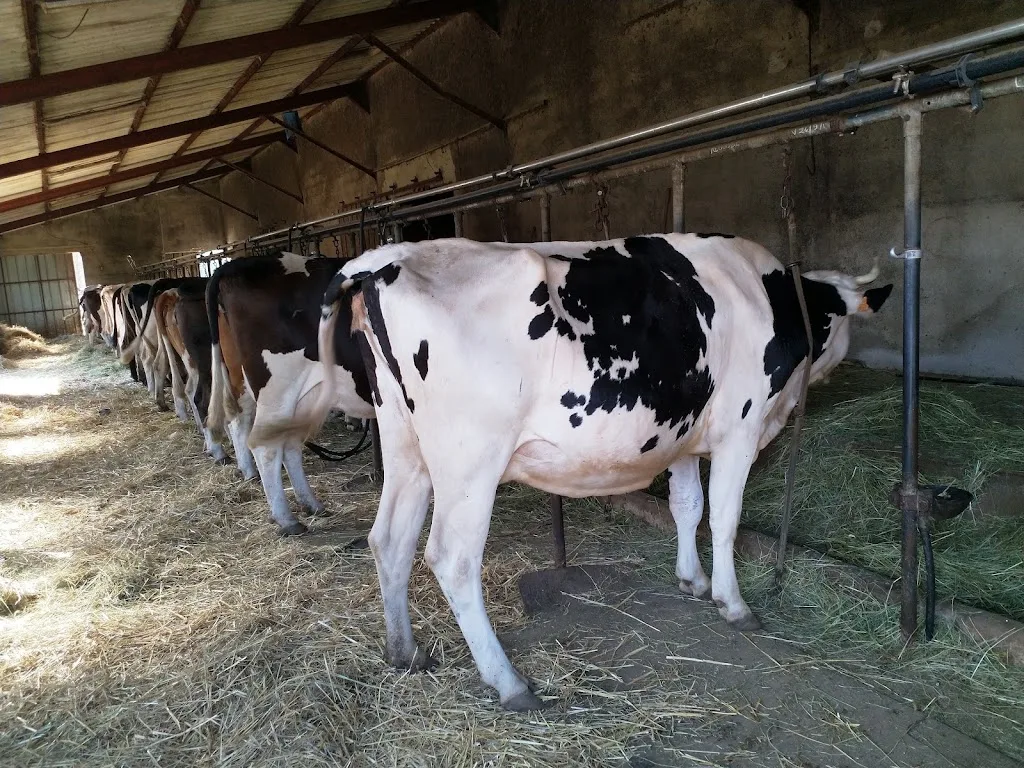 Camping à la Ferme de Rivet - photo 1
