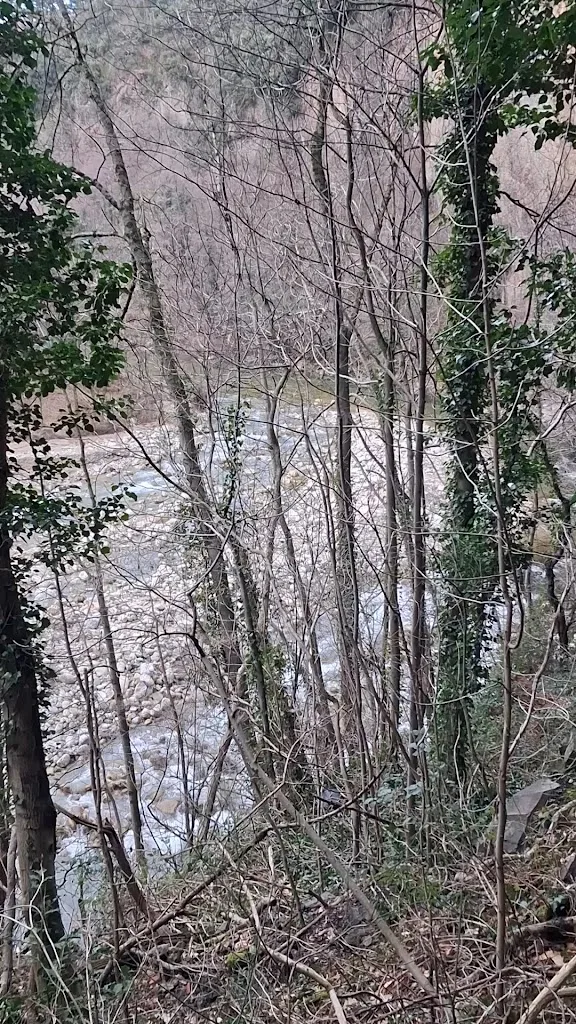 Camping Du Pont De Mercier - photo 2