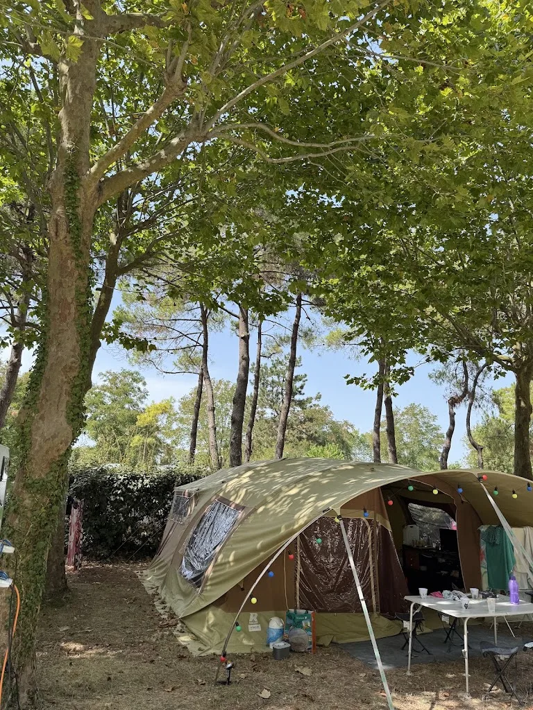 Camping Ile D'Oléron - Le Dauphin - photo 3