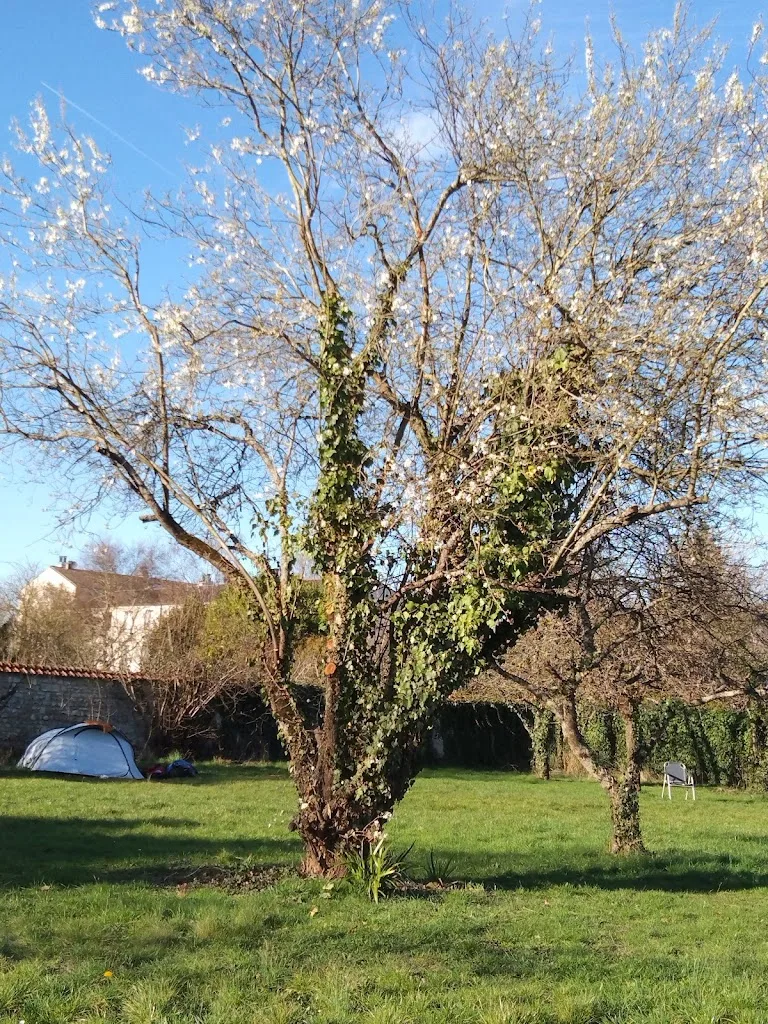 Fontaineblhostel Hostel & Camping (near Fontainebleau) - photo 1