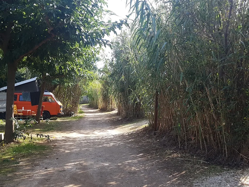 Camping à la ferme le Pradeau - photo 2