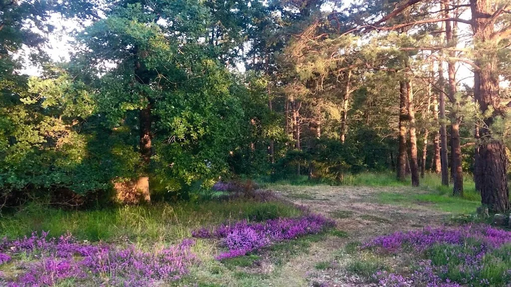 Nature et Amitié d’Ebreuil - photo 2