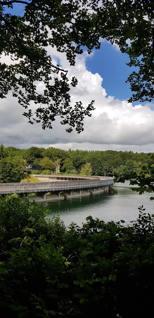 Camping Presqu'Ile Mas - photo 2