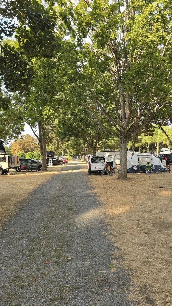 Camping municipal de l'île d'Or - photo 2