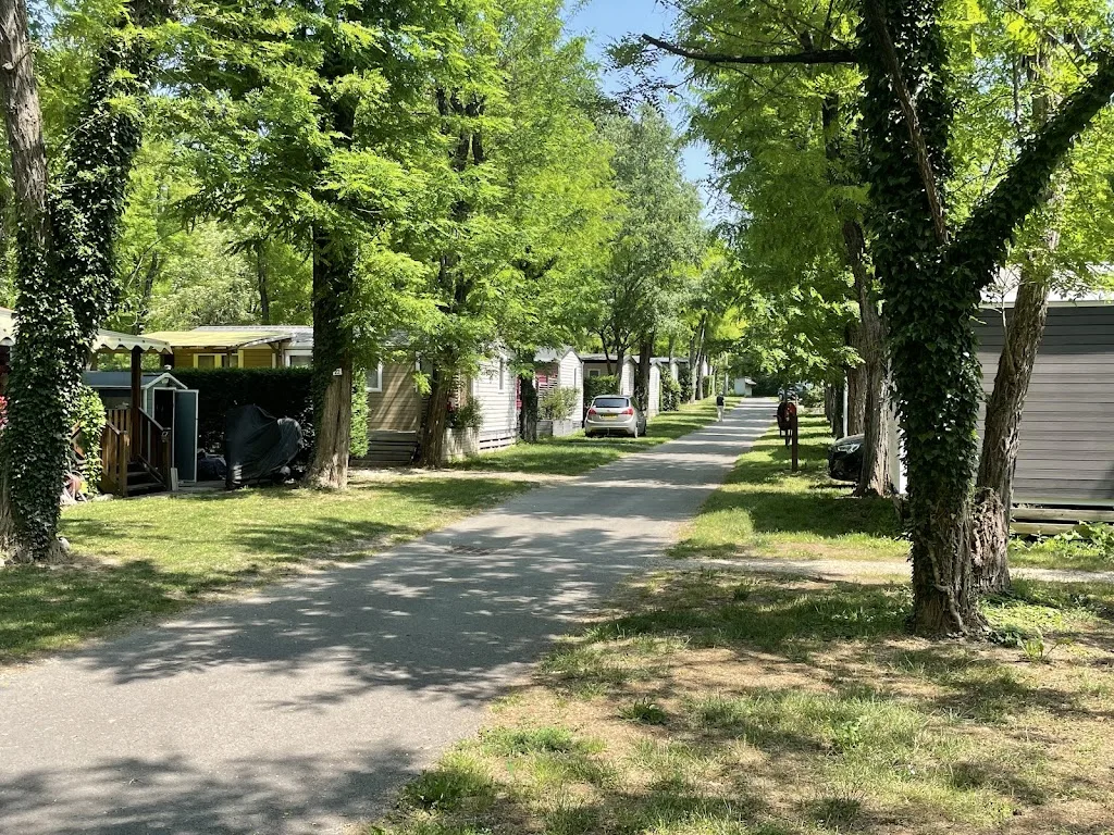 Camping de Laborie Sud Ardèche - photo 2