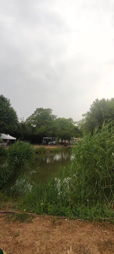 Camping Les Naïades - photo 2
