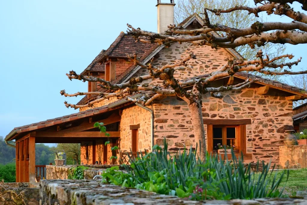 Les cabanes des Landes - photo 1