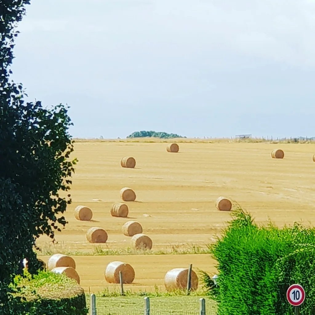 Camping du Fremont - photo 1