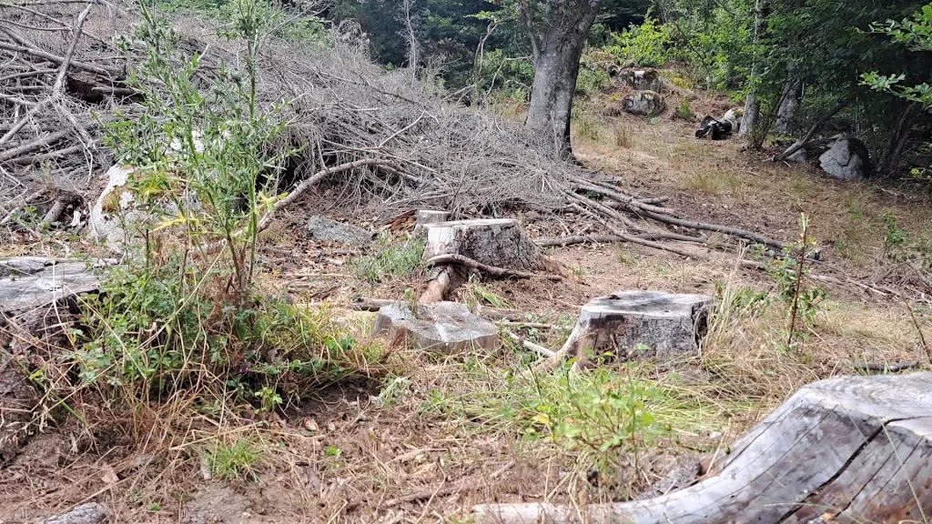 Camping Madrés Pyrénées - photo 2