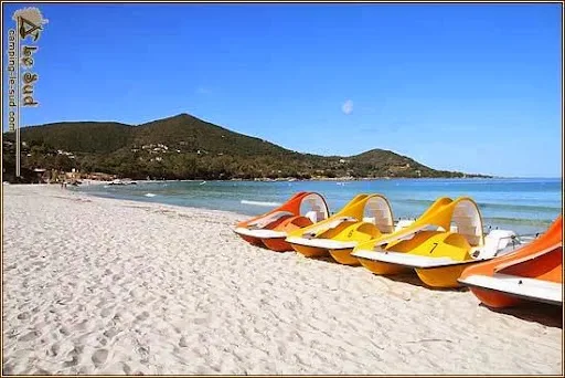 Camping Le Sud - photo 1