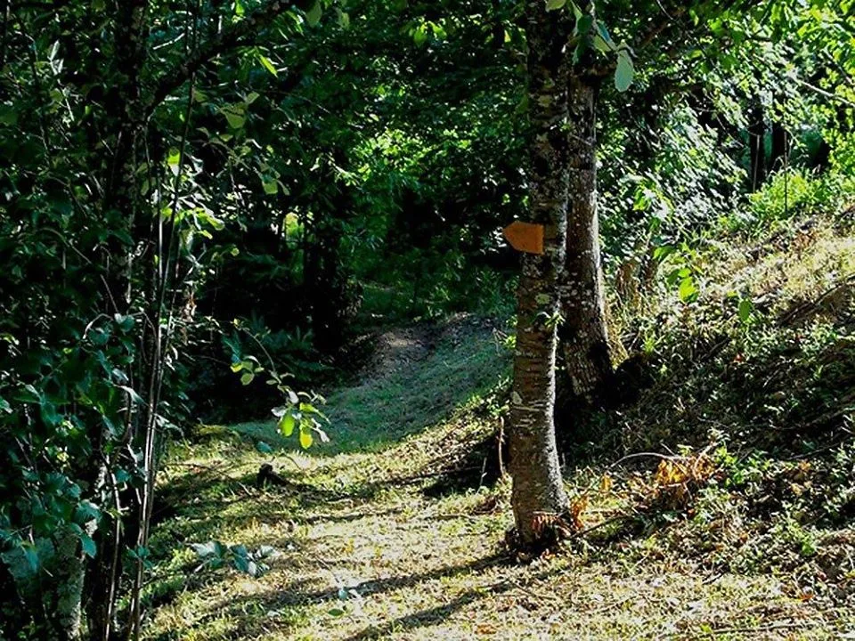 Domaine Camping Les Roches 4 étoiles - photo 1