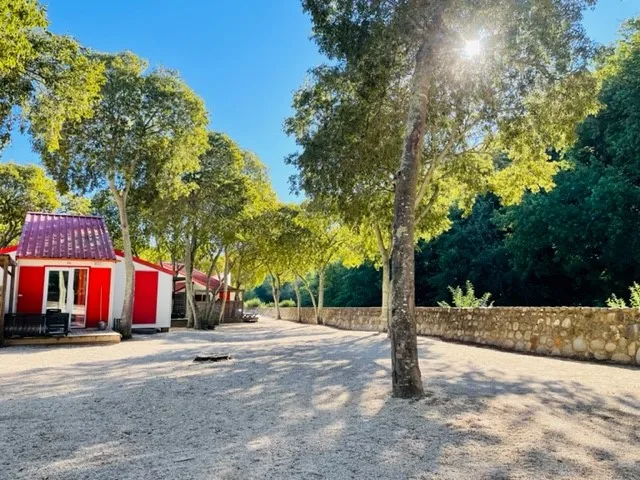Camping Le Bois Fleuri 5 étoiles - Argelès-sur-Mer - photo 3