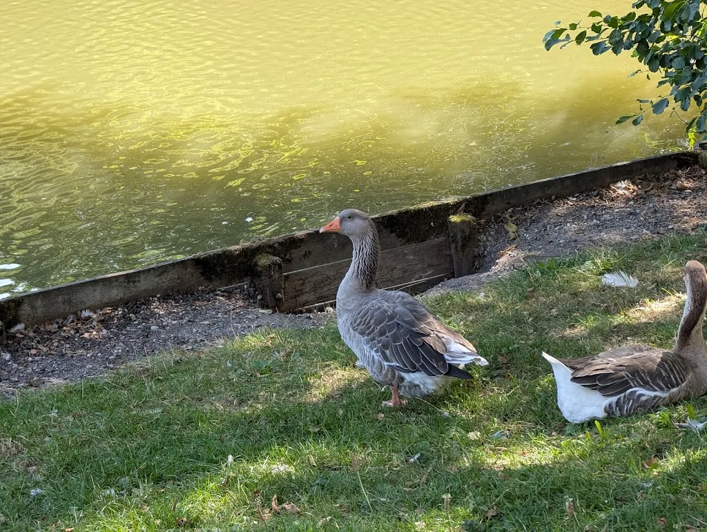 Camping et Base de loisirs Les Etangs des Moines - photo 1
