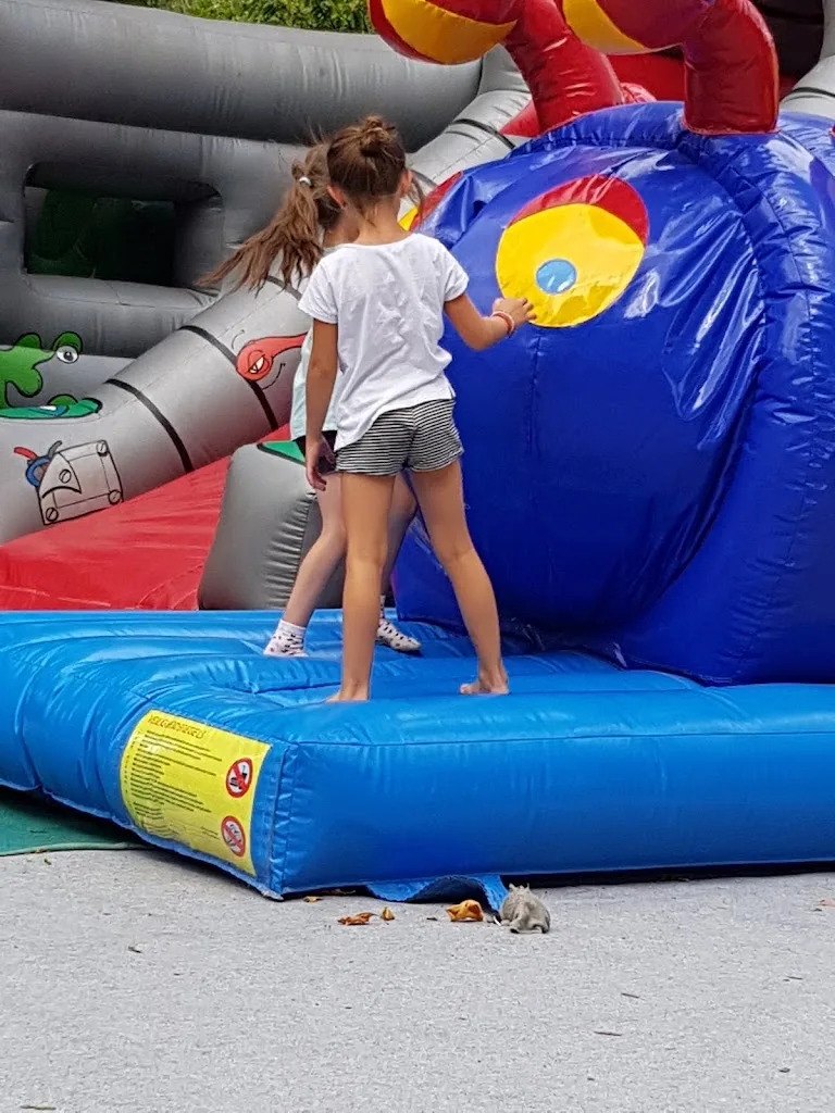 Camping et Base de loisirs Les Etangs des Moines - photo 2