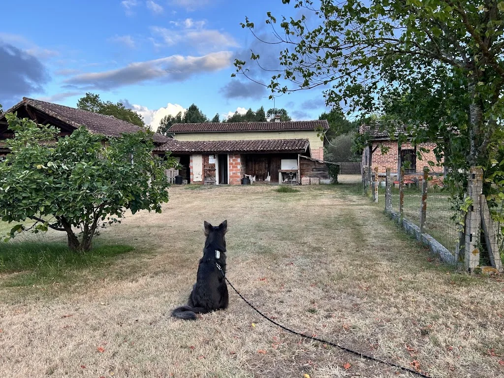 LLCC Landes Locations Chalets Camping - photo 3