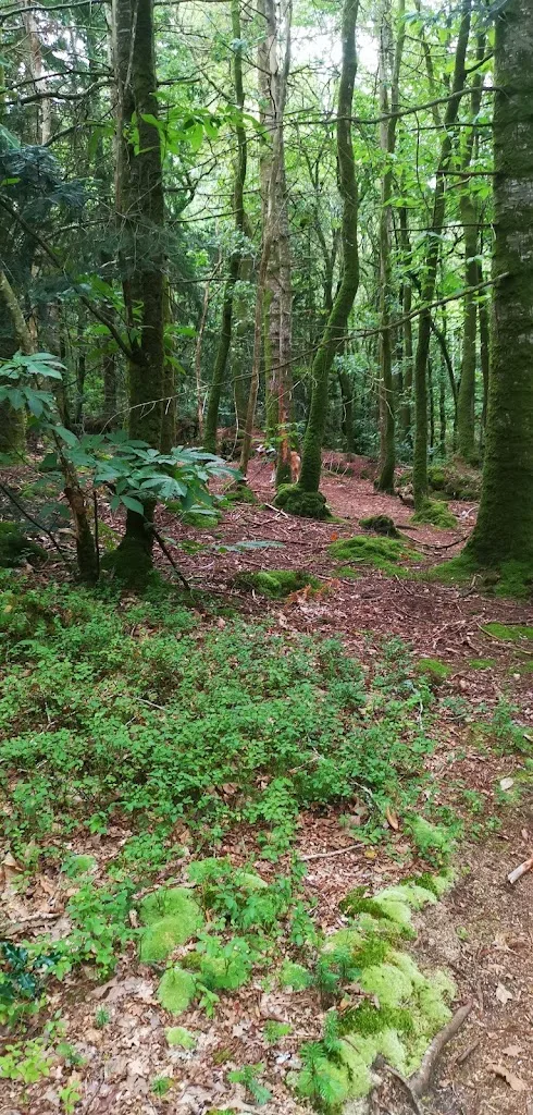 Place désignée - photo 2