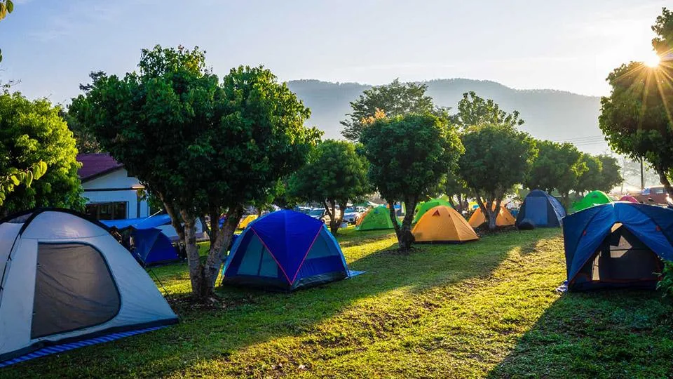 CAMPING LES VIGNES - photo 1