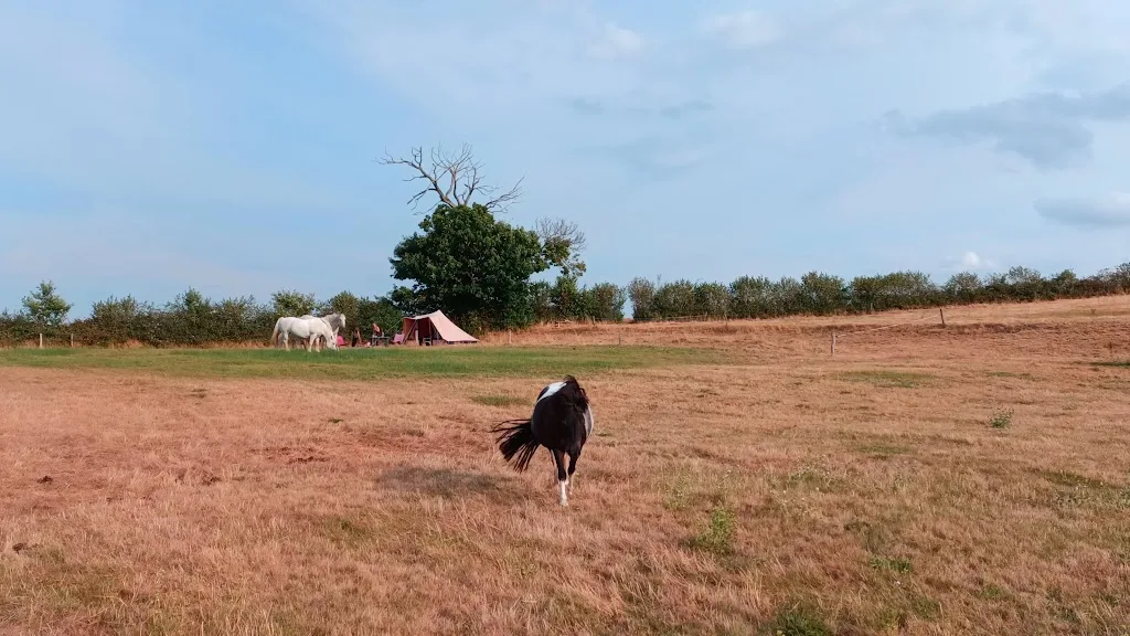 Camping Les Sauges - photo 1