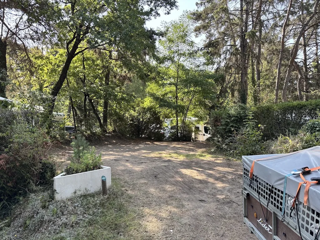 Camping La Pinède - photo 2