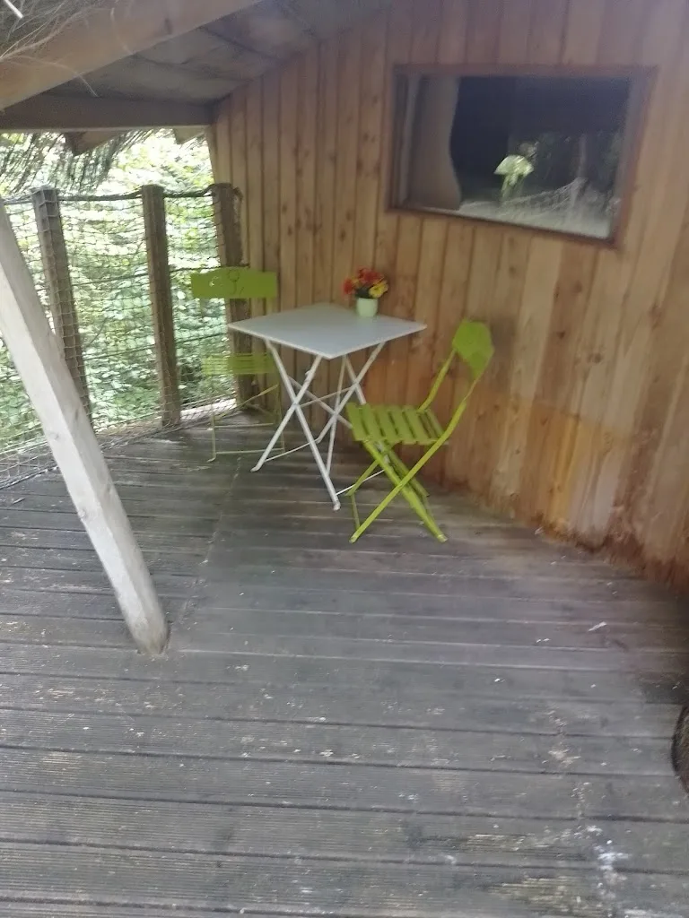 Cabane dans les arbres - photo 2