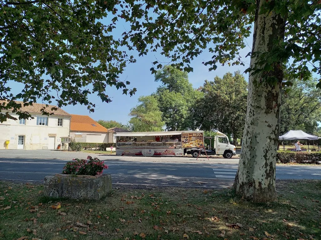 camping municipal bel air - photo 2