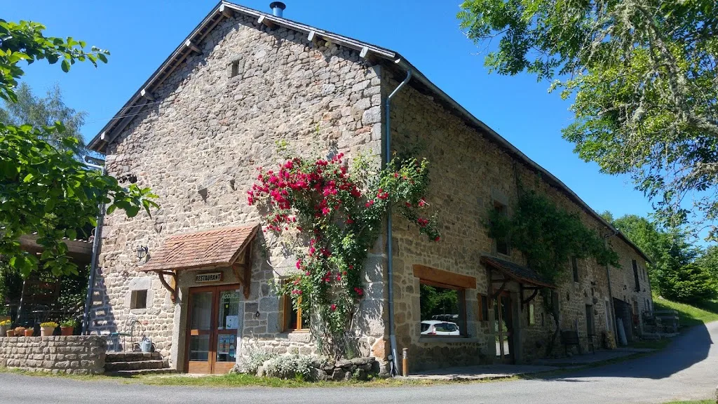 Les Soleils - photo 1
