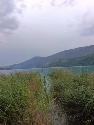 Camping Les Peupliers du Lac - Onlycamp