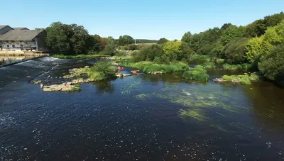 Guinguette du camping de la Rivière