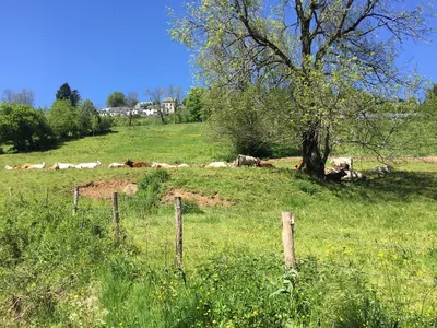 Camping La Vallée