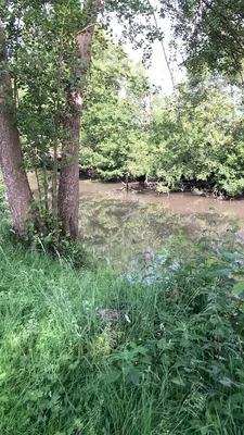 Camping des Bords de l'Huisne