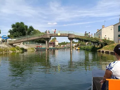 Coulon