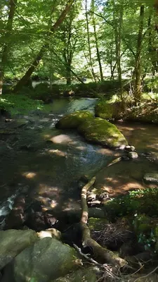 Aire Naturelle camping Et Gite D'etape De La Bontat