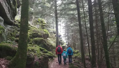 camping d'étival