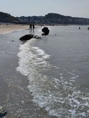 Camping les moutons