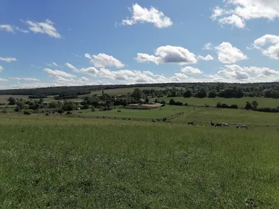 Camping à la ferme Le Rupt