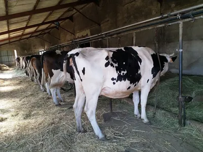 Camping à la Ferme de Rivet