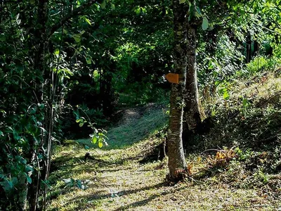 Domaine Camping Les Roches 4 étoiles