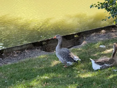 Camping et Base de loisirs Les Etangs des Moines