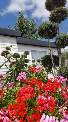 Camping La Croix Villieu - Morbihan